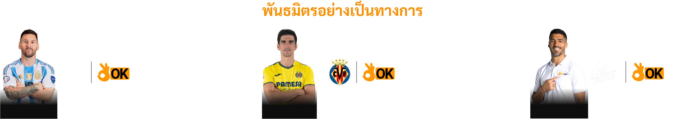 แบรนด์แอมบาสเดอร์ & พันธมิตรอย่างเป็นทางการ